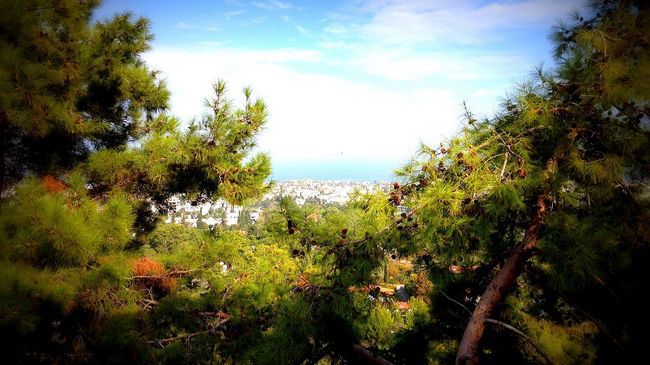 Onar Village Kyrenia  Luaran gambar