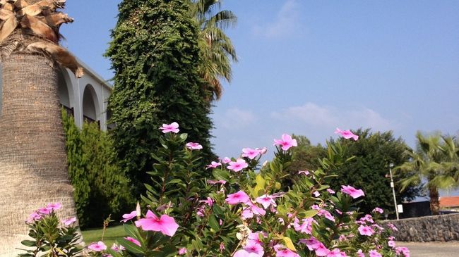 Onar Village Kyrenia  Servis gambar